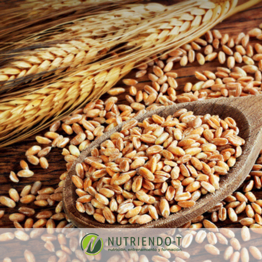 Enfermedad-celiaca-Nutriendo-T
